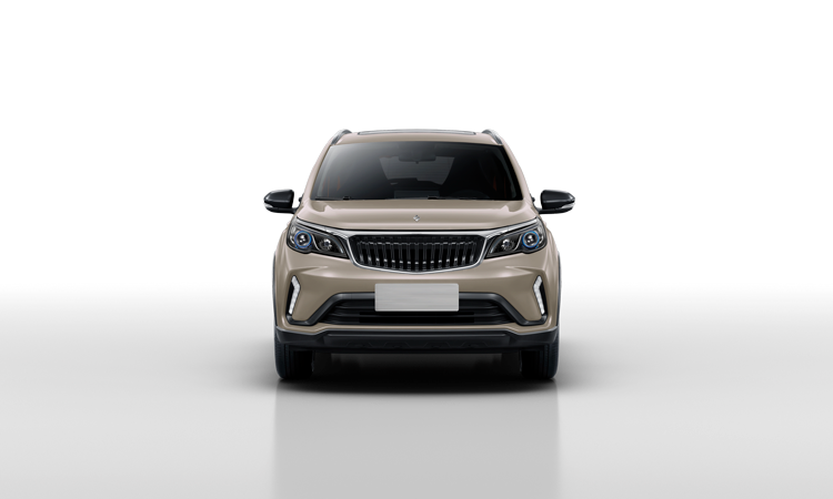 ЛИВЭН ИКС3ПРО Золотой