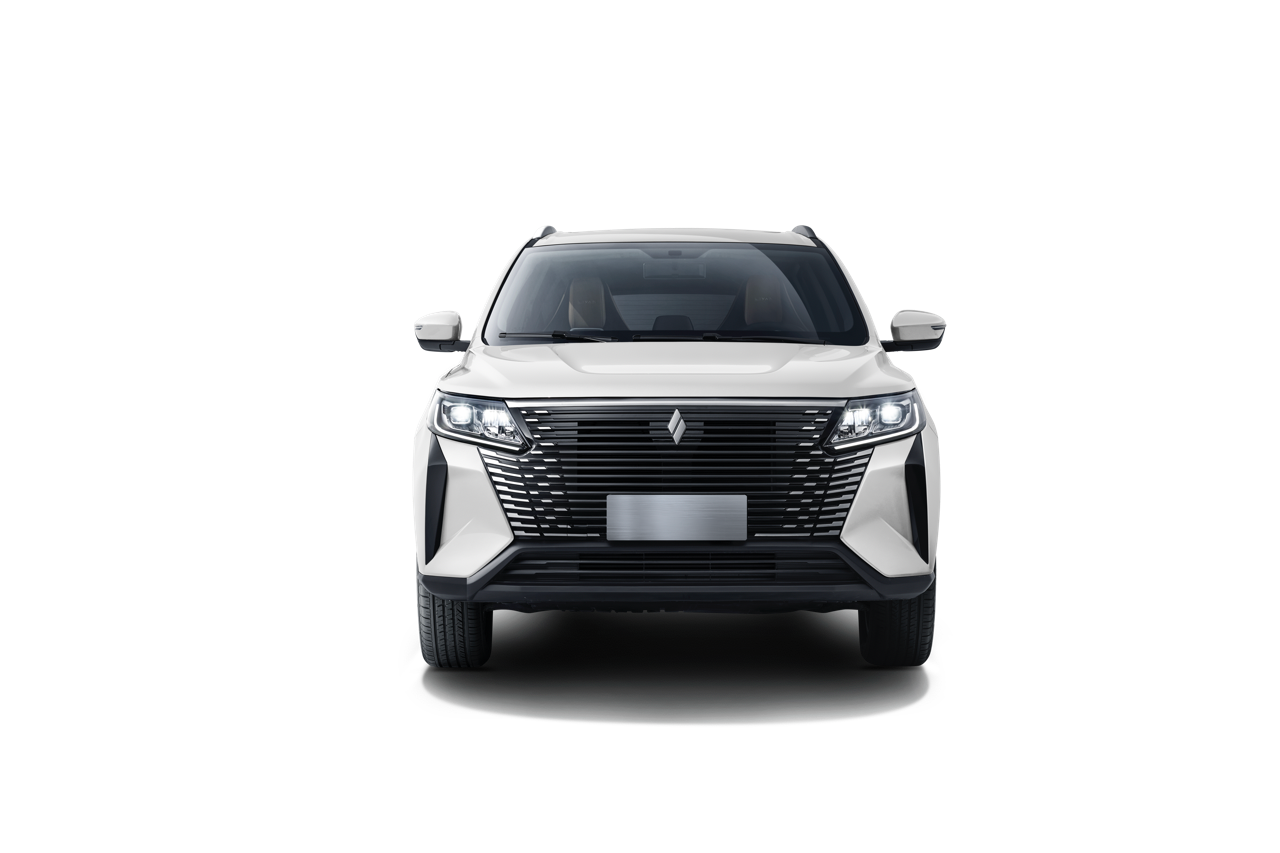 ЛИВЭН ИКС6ПРО Белый